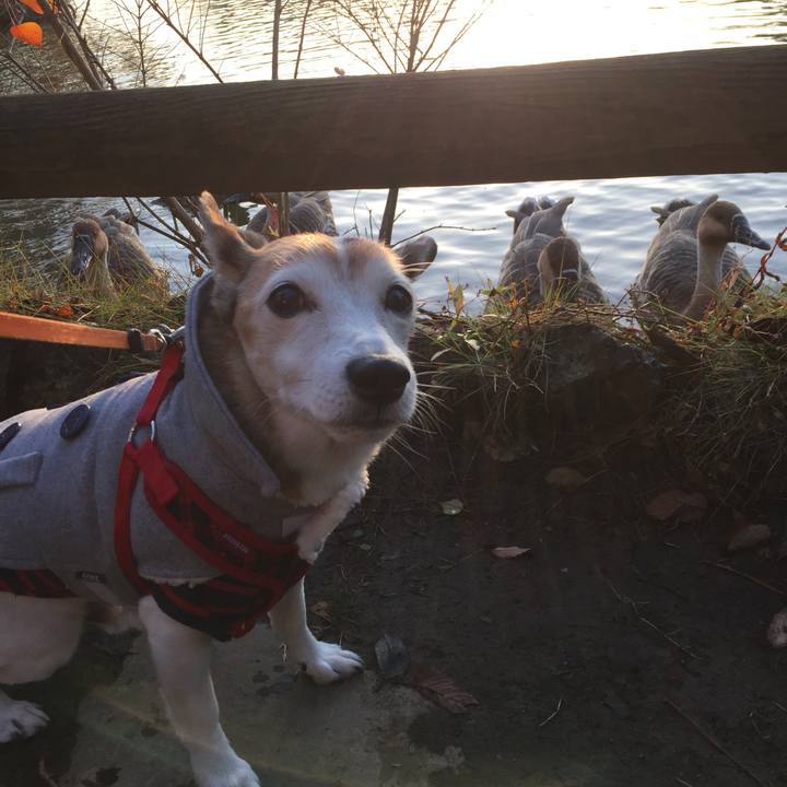 B727c273 8849 44f7 b458 9d47b1c7dca8