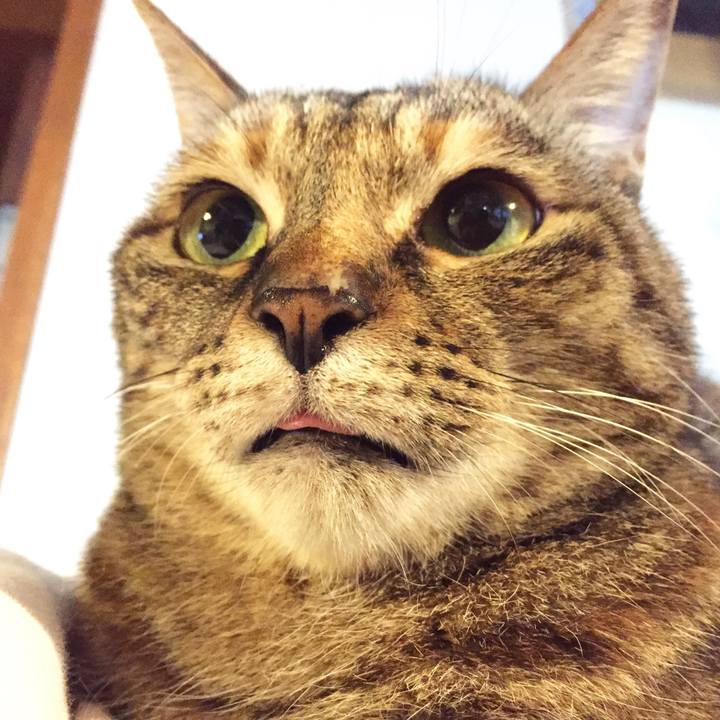 B7282948 04f3 4d91 89b5 acdeeb76a68b