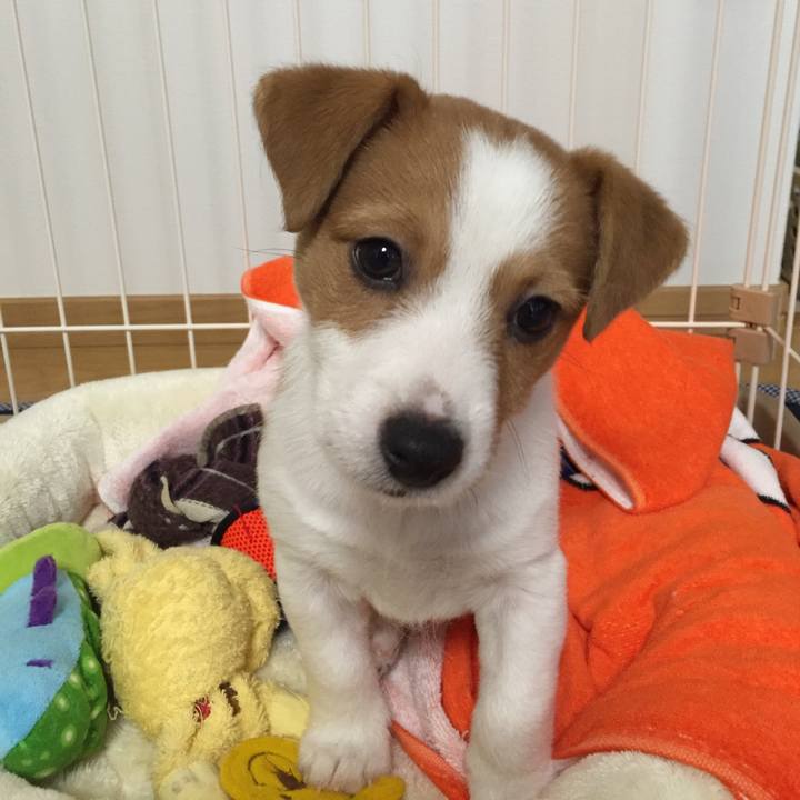 B7286d1d afd6 4c55 9c3a d2cb37c38abe