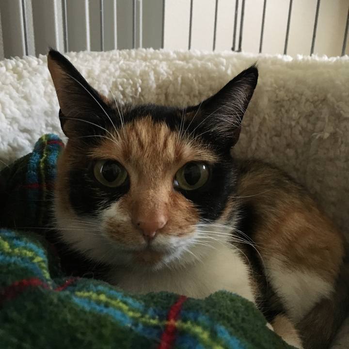 B7288dbe 1c71 4593 b70f 141bbdd348e8