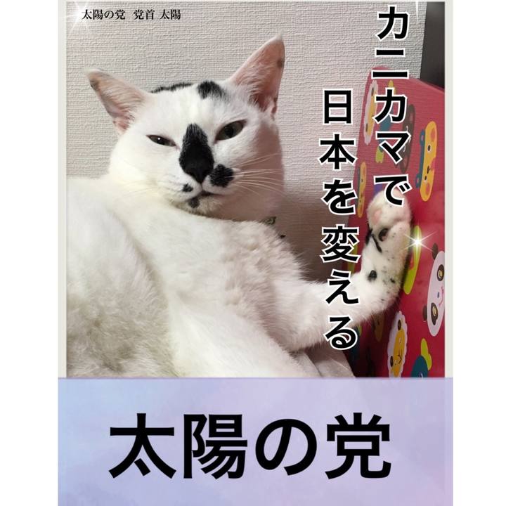 B728a229 0135 430d a830 ef15ea061610