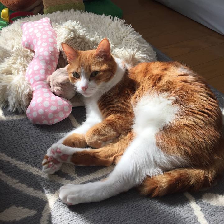 B728a7af b589 4fd7 8f99 989e41d34856