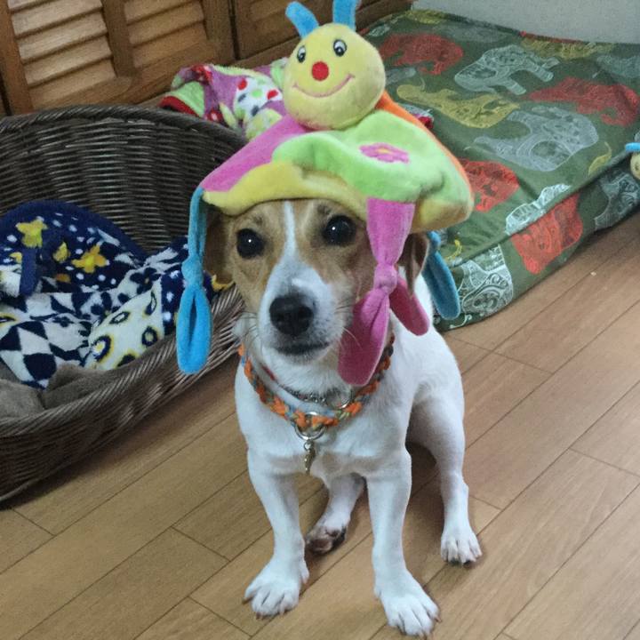 B729ae37 a0a3 4bc4 8c34 932d6827c189