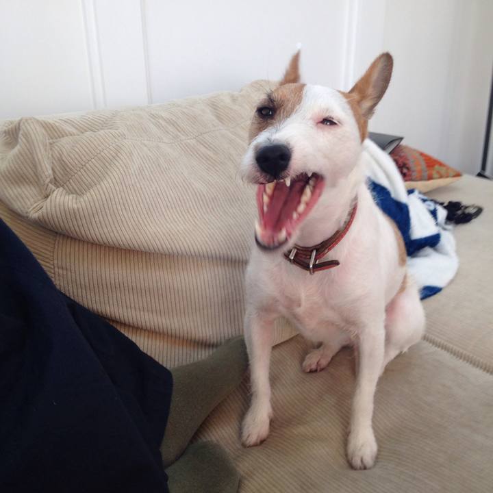 B729ba02 d0ab 4363 855f 1e9cae067d04