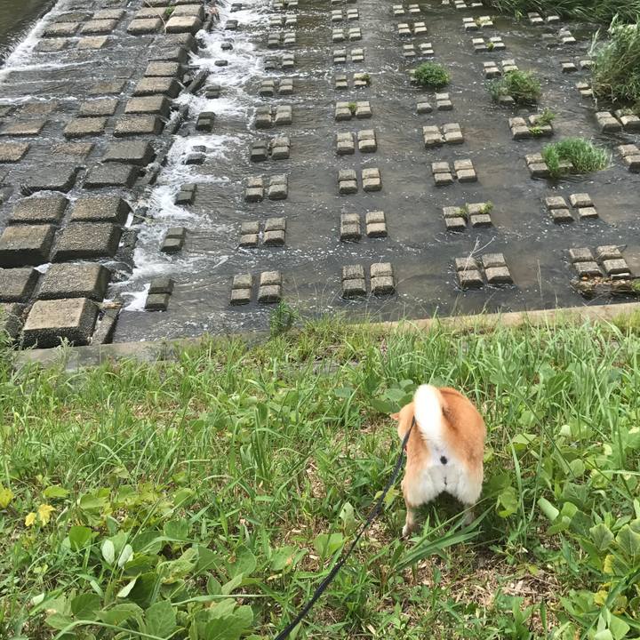 B72a00e9 5236 416f 8bb2 e0338d8d4100