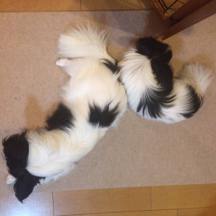 B72a3d9c 20a9 4f04 9e2b 4b28a092938d