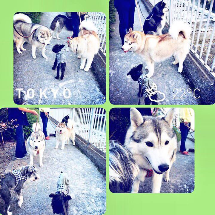 B72a51a4 b315 4f4e 880b c18c273ee5b1