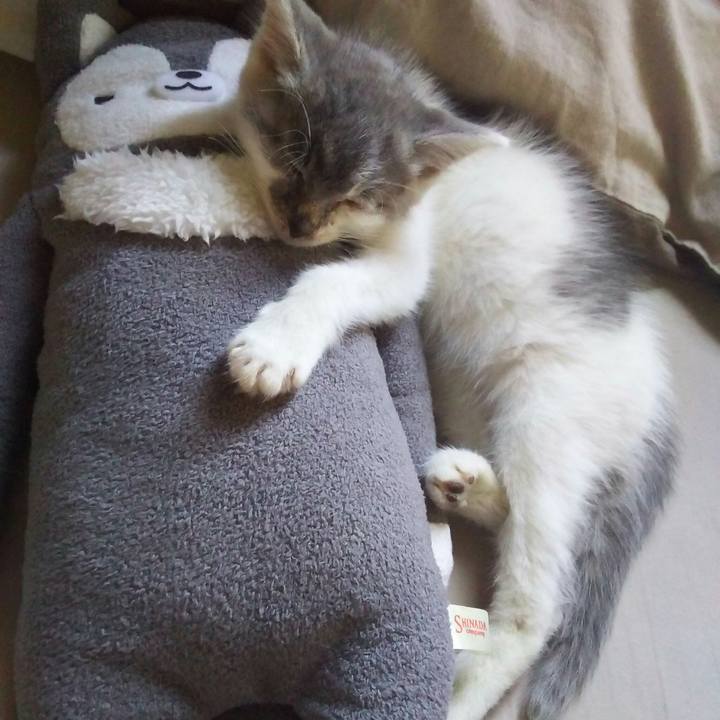 B72b146f c790 4d0b bd99 2a5804e54efb