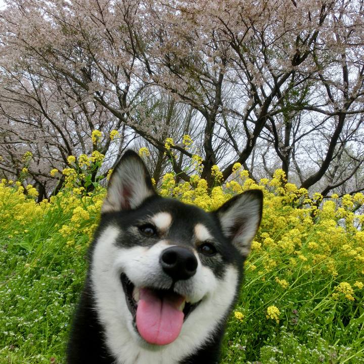 B72bb19e cccd 420f a4c1 5c819590ee5d