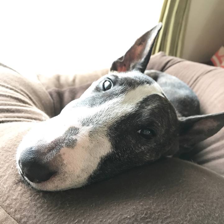 B72c3d9d 5fd1 4480 bd00 7082e8cd219a