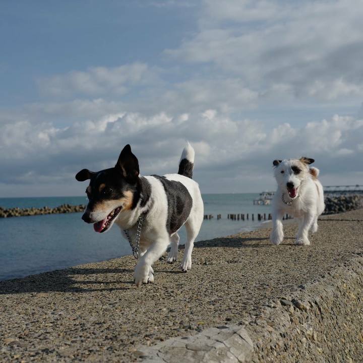 B72ca246 0eb3 4f1c b6de b146cbfeb403