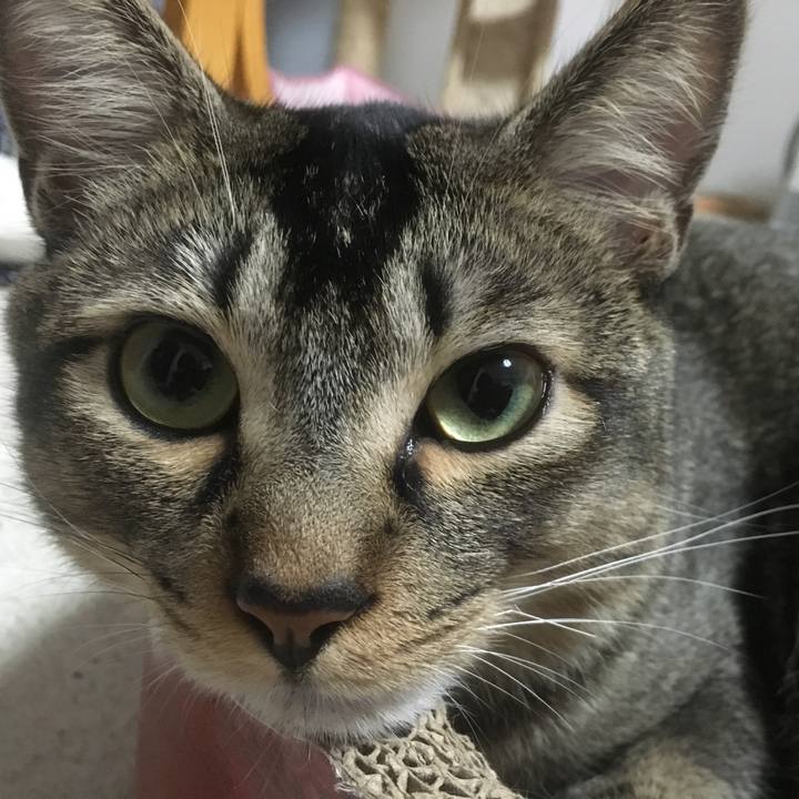 B72cb47b 5b54 460e 9d51 7bf43e988a4c