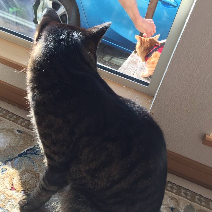 B72cb978 e8c8 4b8a a44c a5a1eda7b2ee