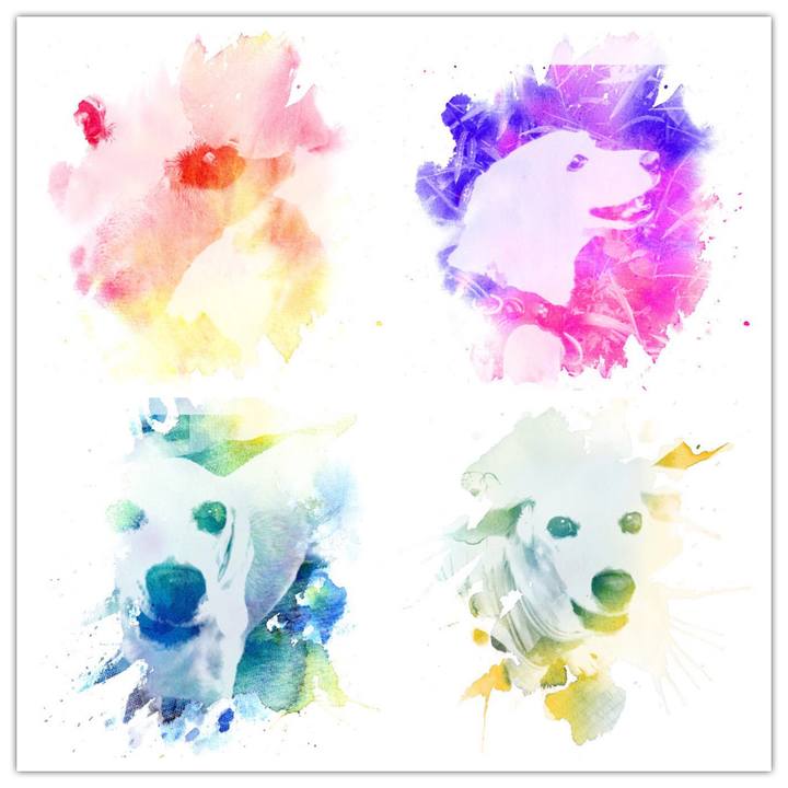 B72d1678 6bf9 4546 8897 7974109fd829