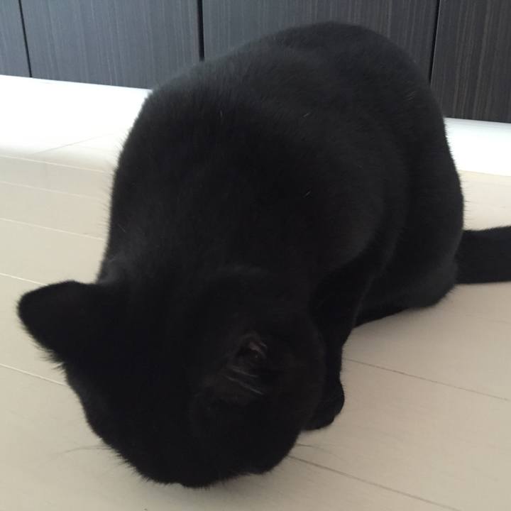 B72dd5a3 6fb0 4ff0 adda 947d384137b2