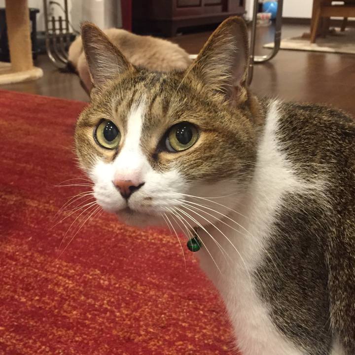 B72f20d3 9f76 41c9 a2bd 6b7def0d1784