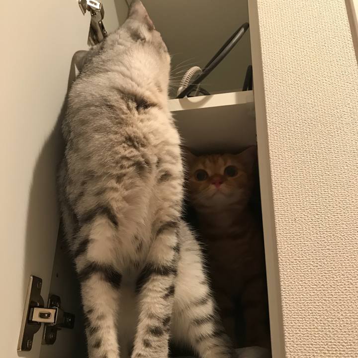 B72f6829 3895 445b 8f59 916f74f8a226