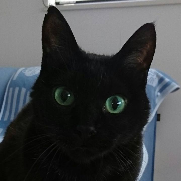 B72fa0c8 c43f 467b 9a15 a57b38a2a078