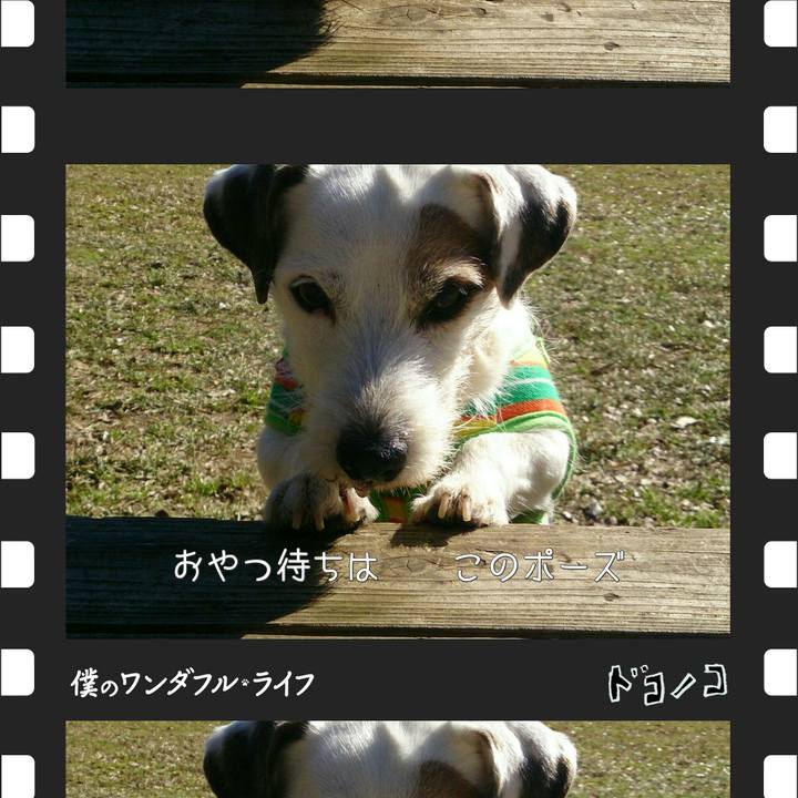 B72fc8ec e5ca 4651 9d72 e81fc54093f5