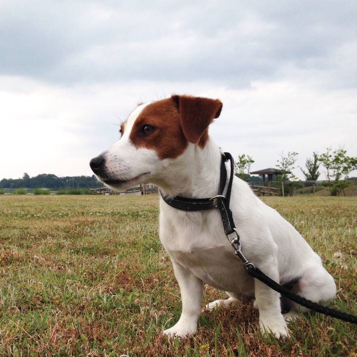 B7301c9e 58d9 47c1 81ef 1e52a61940ec