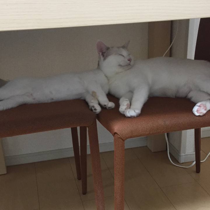 B7308902 48d5 4168 a173 1dbca52cda81