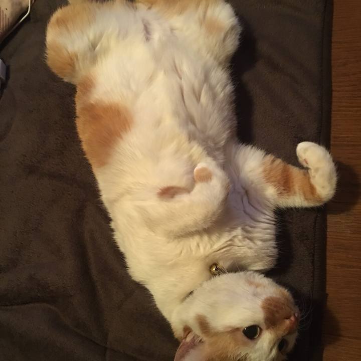 B7310b25 4056 4543 a2e0 cef97cb28e43