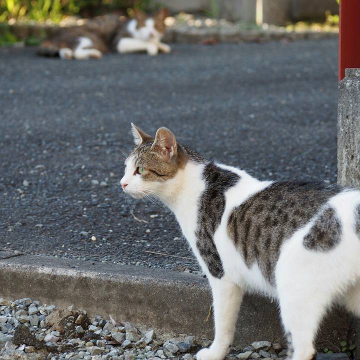 B7311707 ede0 4b08 bc7b fad73dc1c3ab