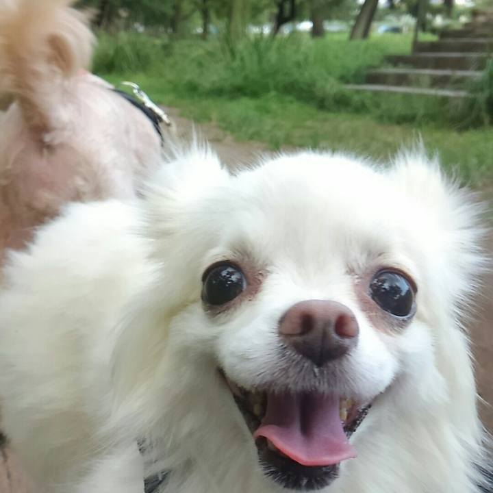 B7314f7c cce0 4dd0 b9ec c043e09637ea