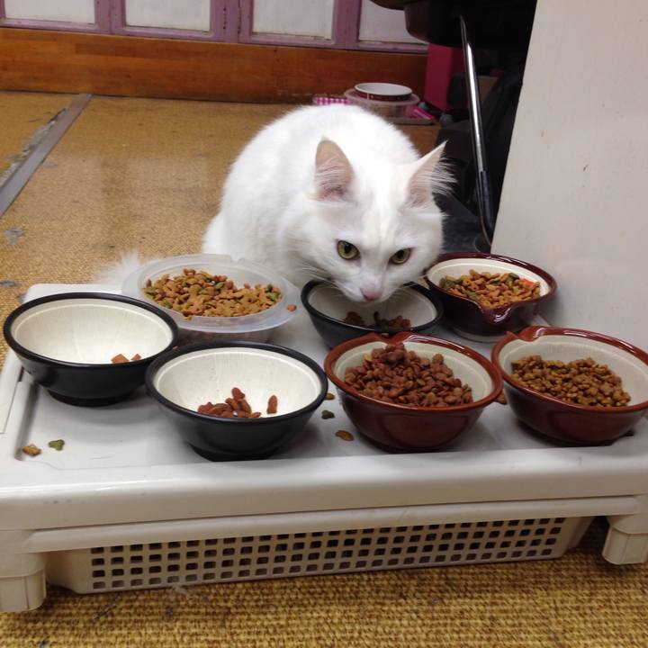 B73195f0 def4 4065 8ad1 2c064c44f3bb