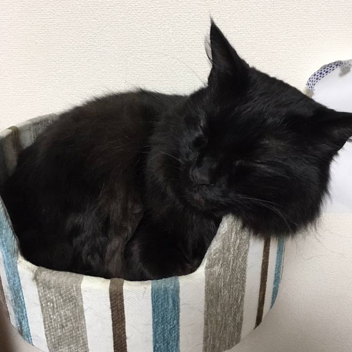 B731bfe4 6d35 43ad b56b cbb69d463b54