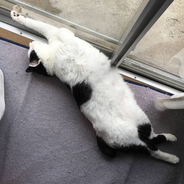 B7323185 e707 48c7 8eb0 96139d89d8e3