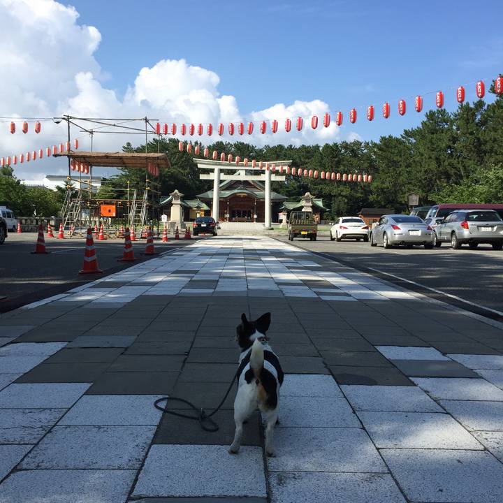 B7332235 018f 4c19 bdf4 635aa2575197