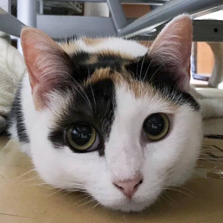 B733626f f151 4353 b167 698481b541ff