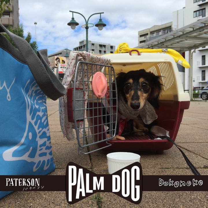 B733ca47 6e49 4891 8633 04682152fa90