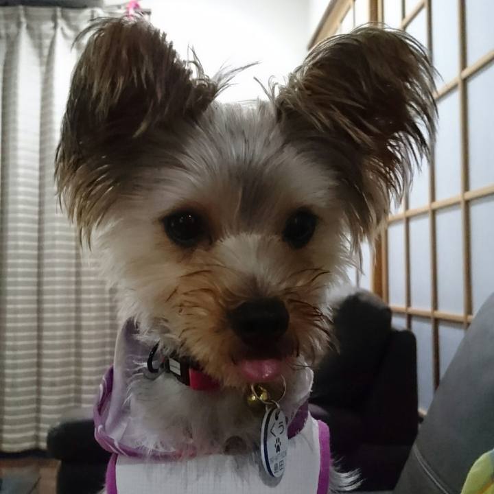 B733cfcf f250 426b 8e60 2a7dbf446f81