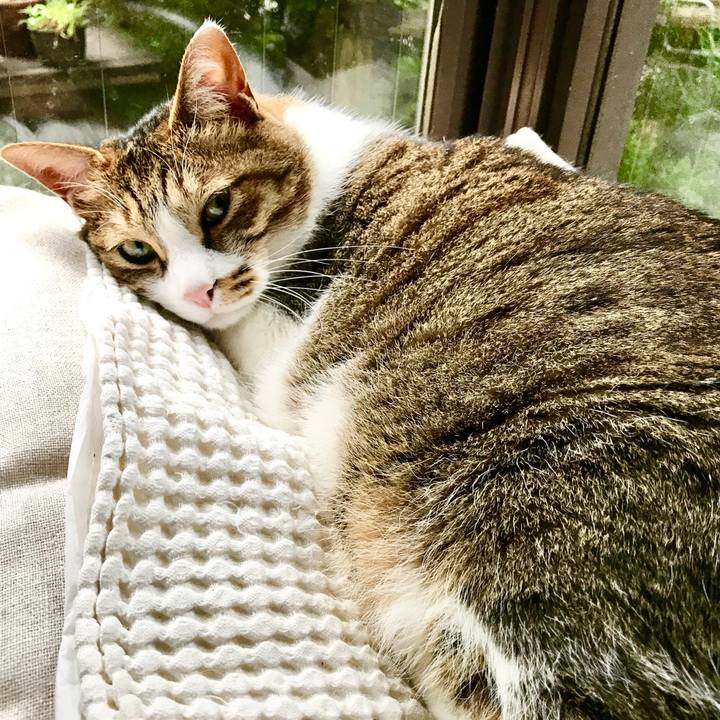 B7345967 16e3 439c a495 9538c6b9ca70