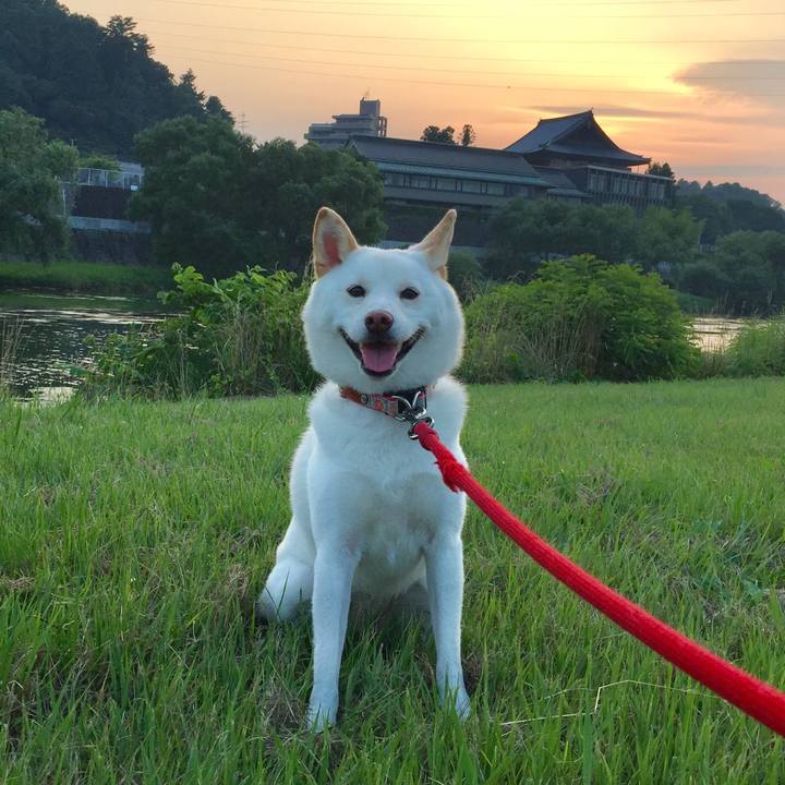 B73602df 98c7 40ca 8e9c 954fdfbe03ba