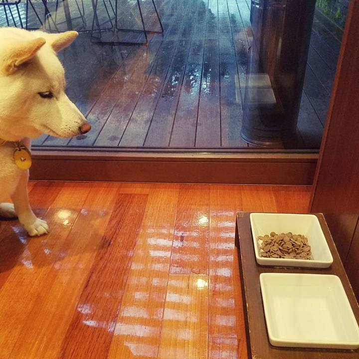 B73668cf b394 43ea bf10 905c43371860