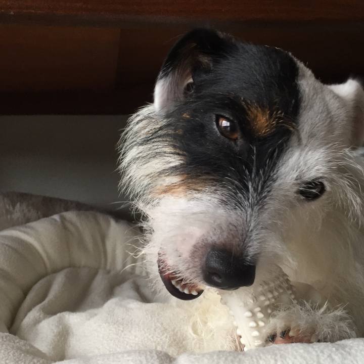 B7374b89 5eb0 48bb b3ad 7dae8b638e19