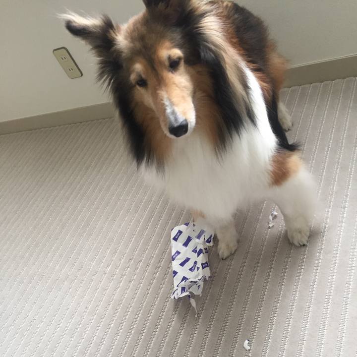 B7374c44 5f53 469b ba96 3018d56c5f43