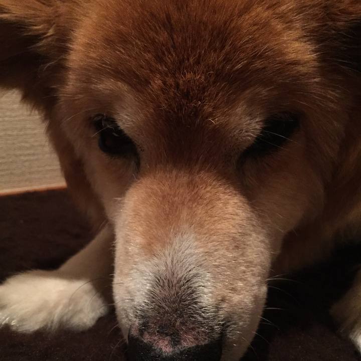 B7377163 247a 4515 8242 fbcdbbd294c3