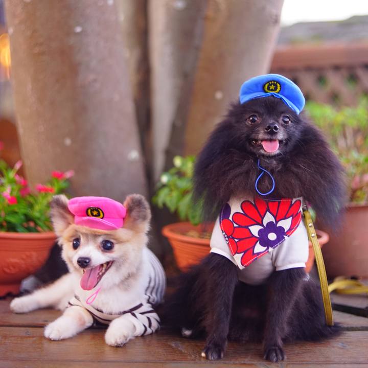 B737759c 09e4 4472 8ccf b9503e952013