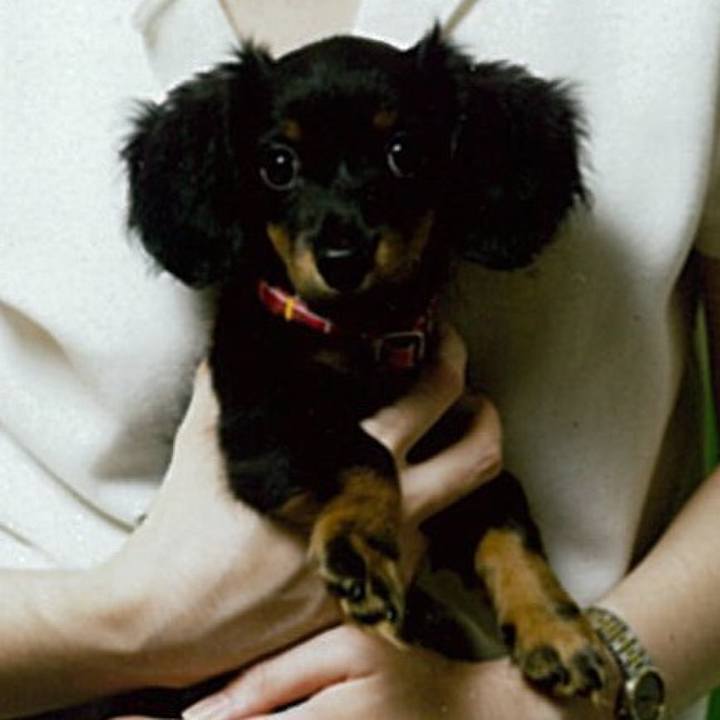 B737bc30 bdb7 4ae5 854c 08ef2f140419