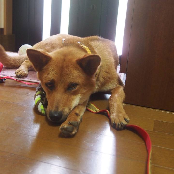 B737c803 6cee 434c a420 8e17a6eef12d