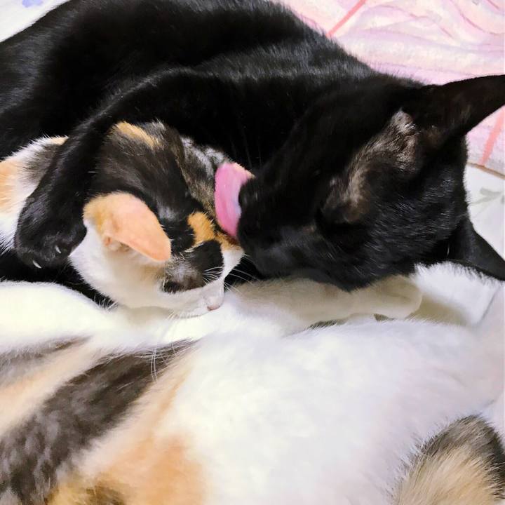 B737db24 8521 49b4 a275 eac08f69cf41