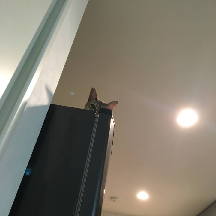 B73876ad dbdd 41c5 938f 3ad8b4a1bd47