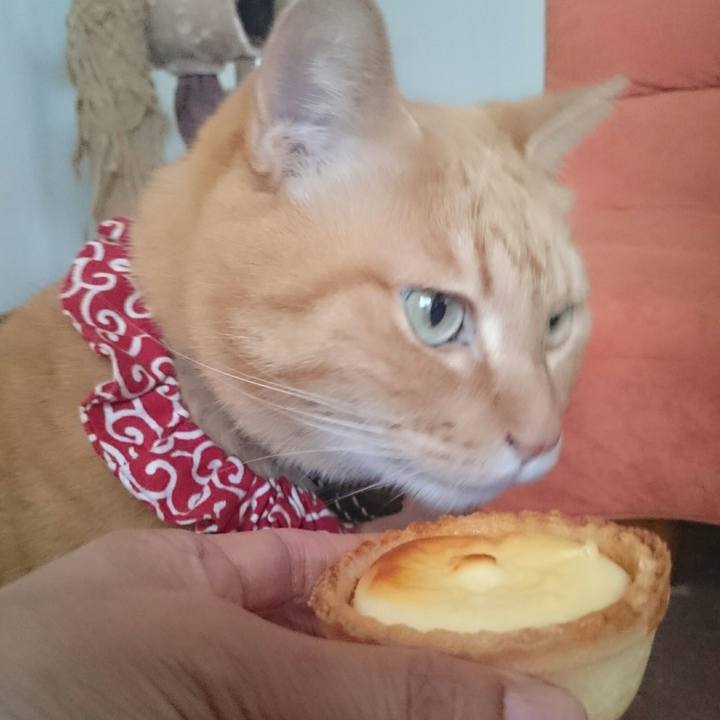 B738aa51 d8ca 4b8c b44a c01eb6feec57