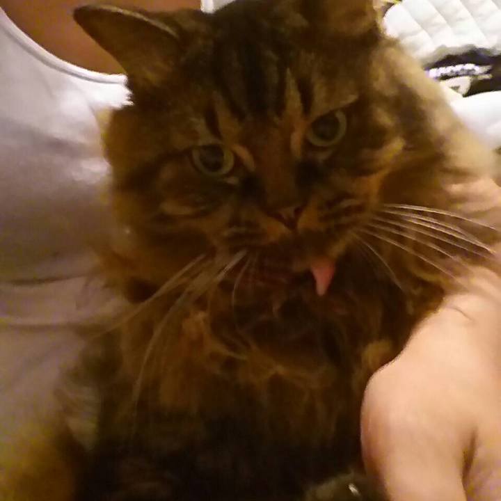 B738bbc1 0475 4bb7 8573 060ad8317e95