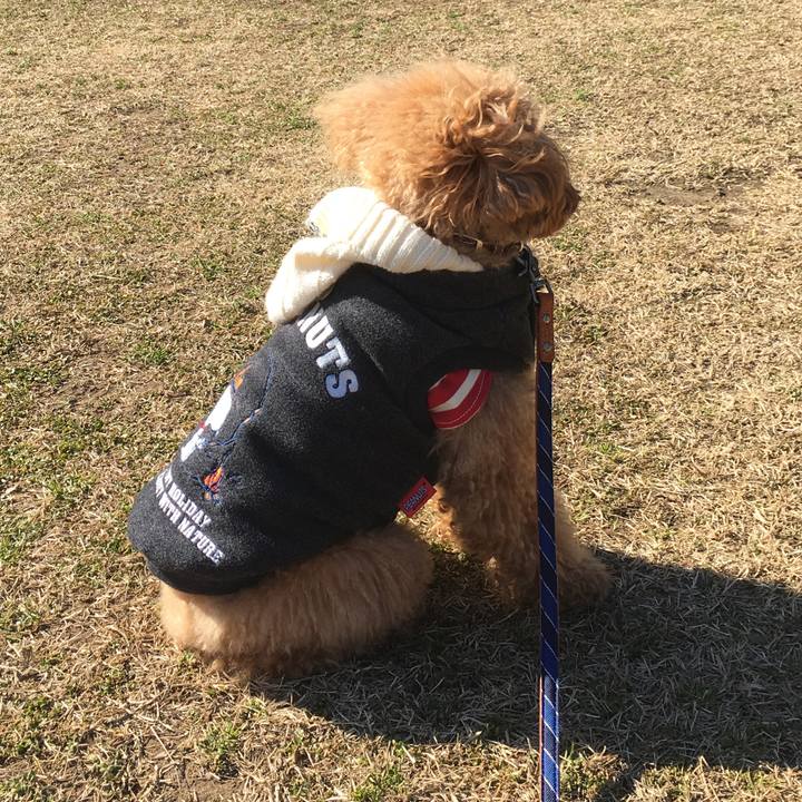 B7392245 16ef 4a78 8990 13d43f7da7e0