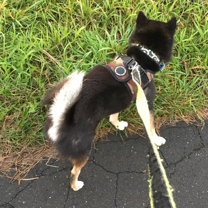 B7398442 ee67 404c 9b8d 92b432cc3137